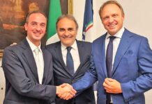 MAIE-Fratelli d'Italia