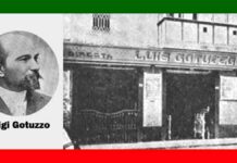luigi gotuzzo