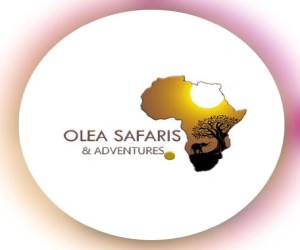 Olea Safaris